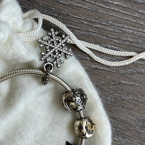 Pandora bracelet with charms silver with receipt - Picture 4 of 9